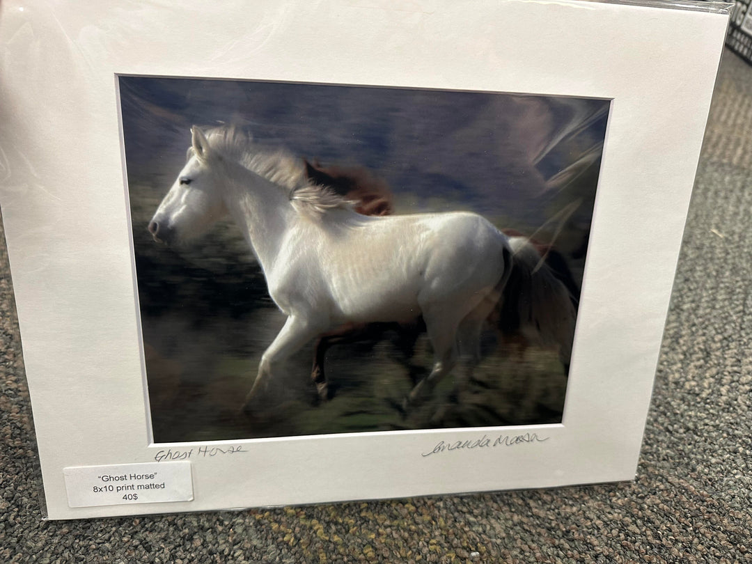 Horse print