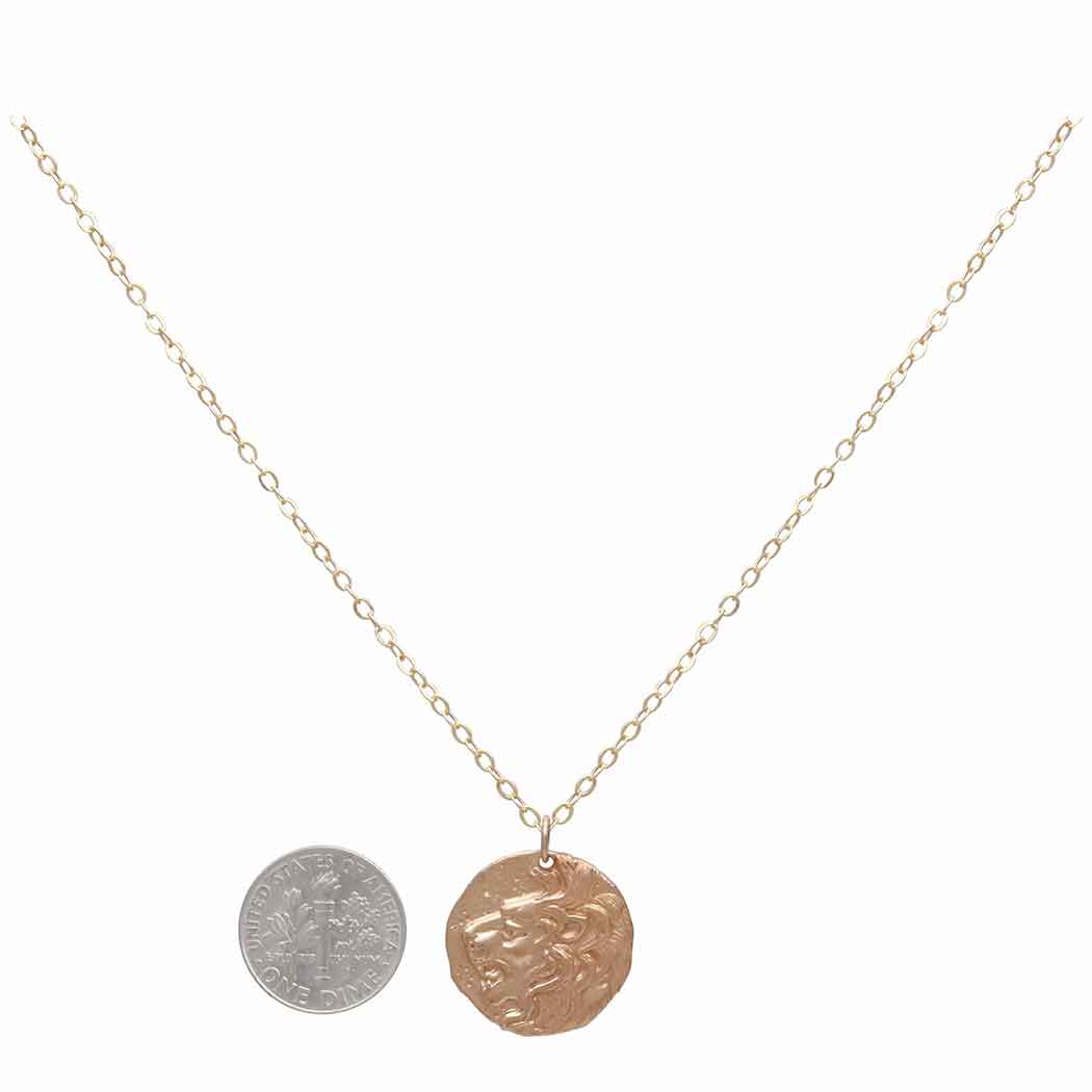 Sterling Silver or Bronze Ancient Lion Head Coin Necklace