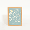 Birdsong Card Boxed Set of 8
