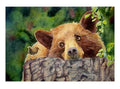 Curiosity | GPP283 | Artist: Patricia Pushaw