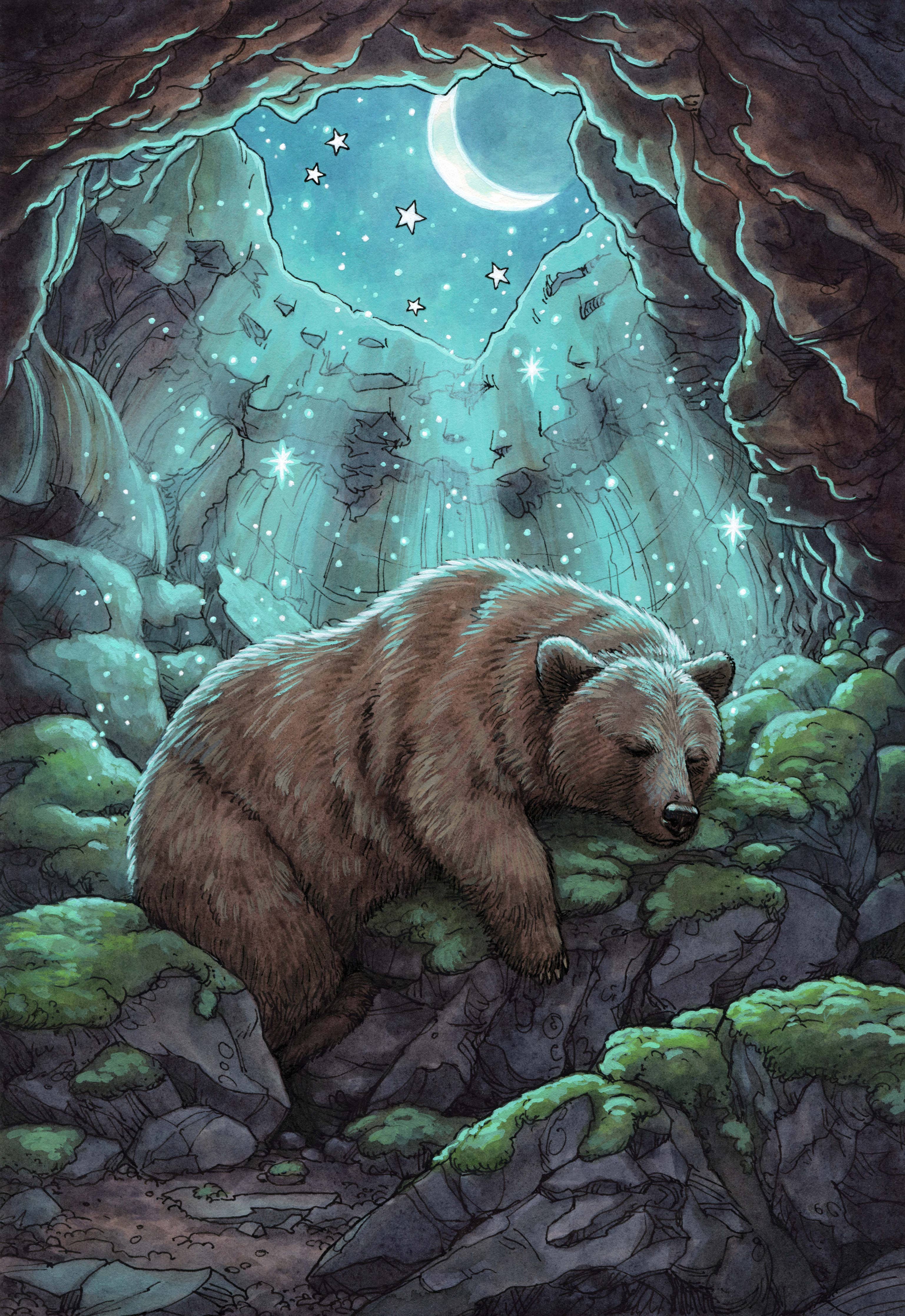 Bear | Artist: Elisabeth Alba | FEA335