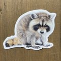 Baby Raccoon Vinyl STICKER