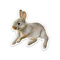 Baby Bunny - Vinyl STICKER