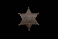 Sheriff Star Badge Costume Accessory