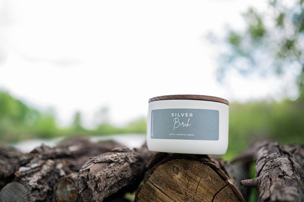 Silver Birch | 10 oz Signature Statement Candle