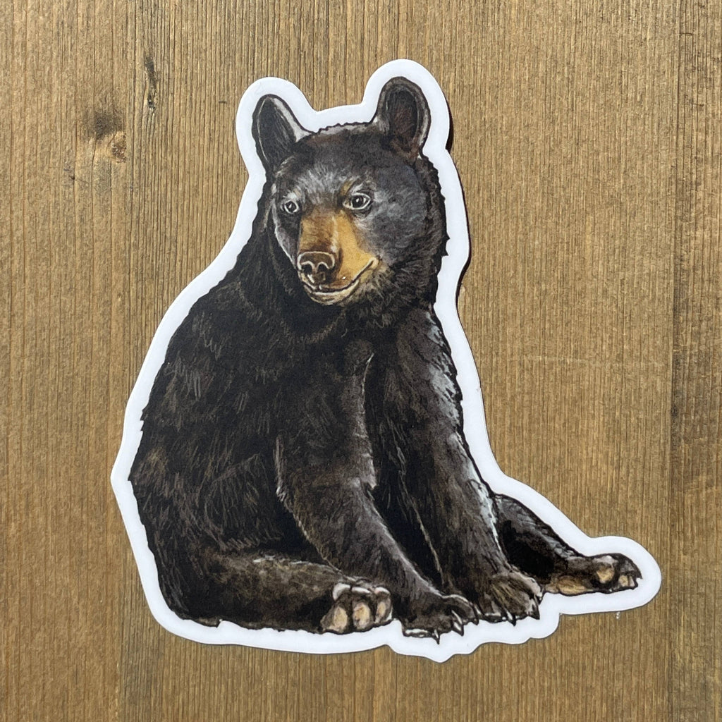 Baby Bear Cub Vinyl STICKER