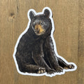 Baby Bear Cub Vinyl STICKER