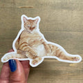 Snoozy Orange Tabby Cat Vinyl STICKER