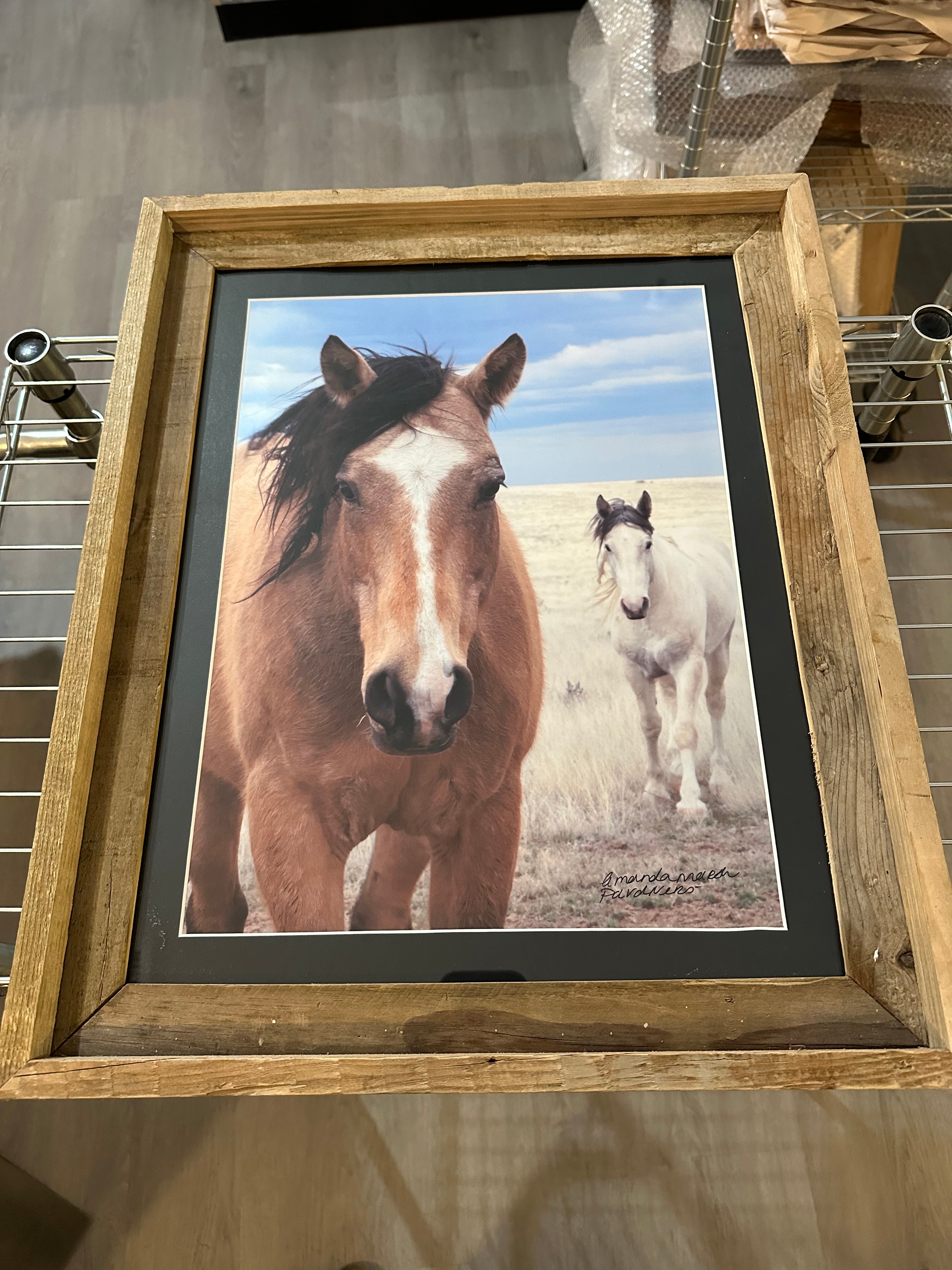 Pardners