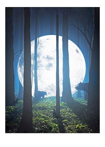 Moonlanding | Artist: Cynthia Decker | FF202
