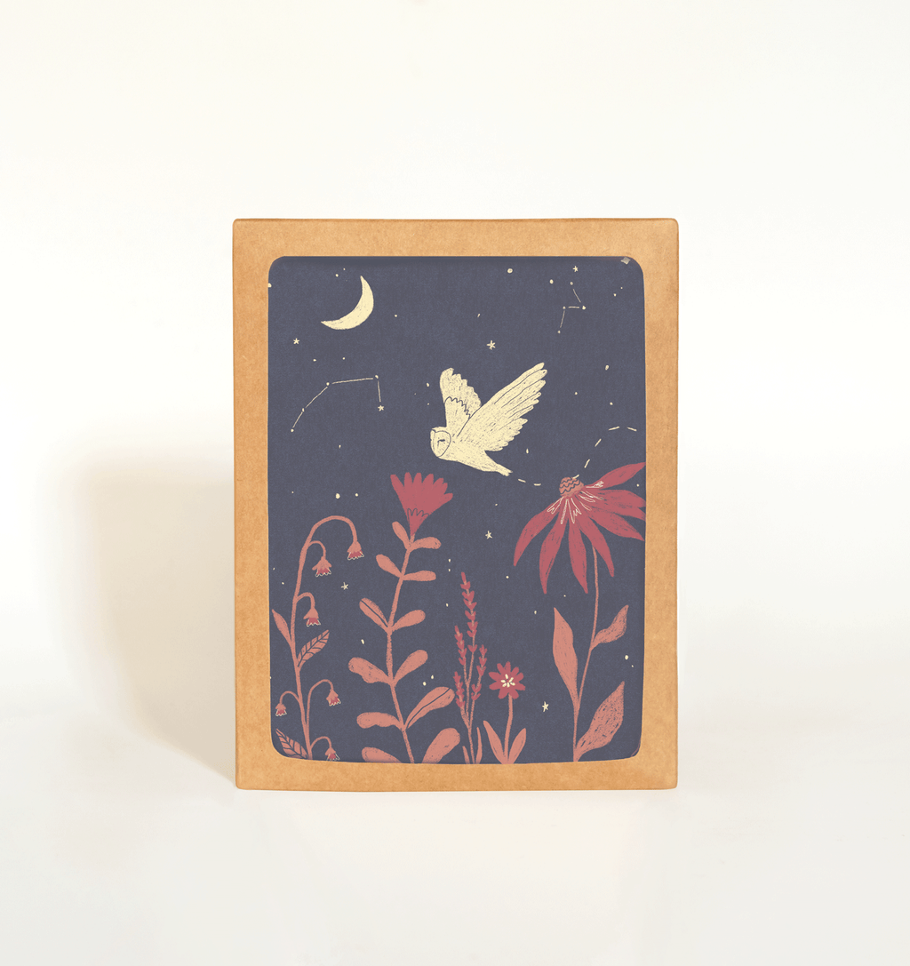 Night Owl Card Boxed Set of 8