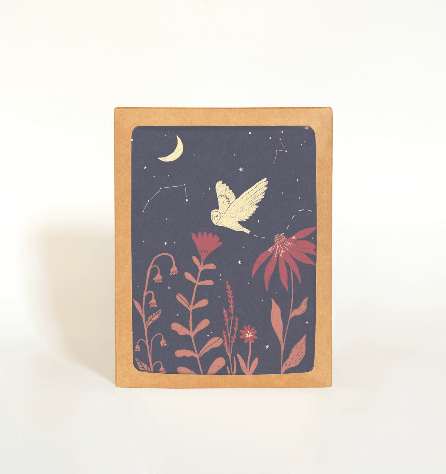Night Owl Card Boxed Set of 8