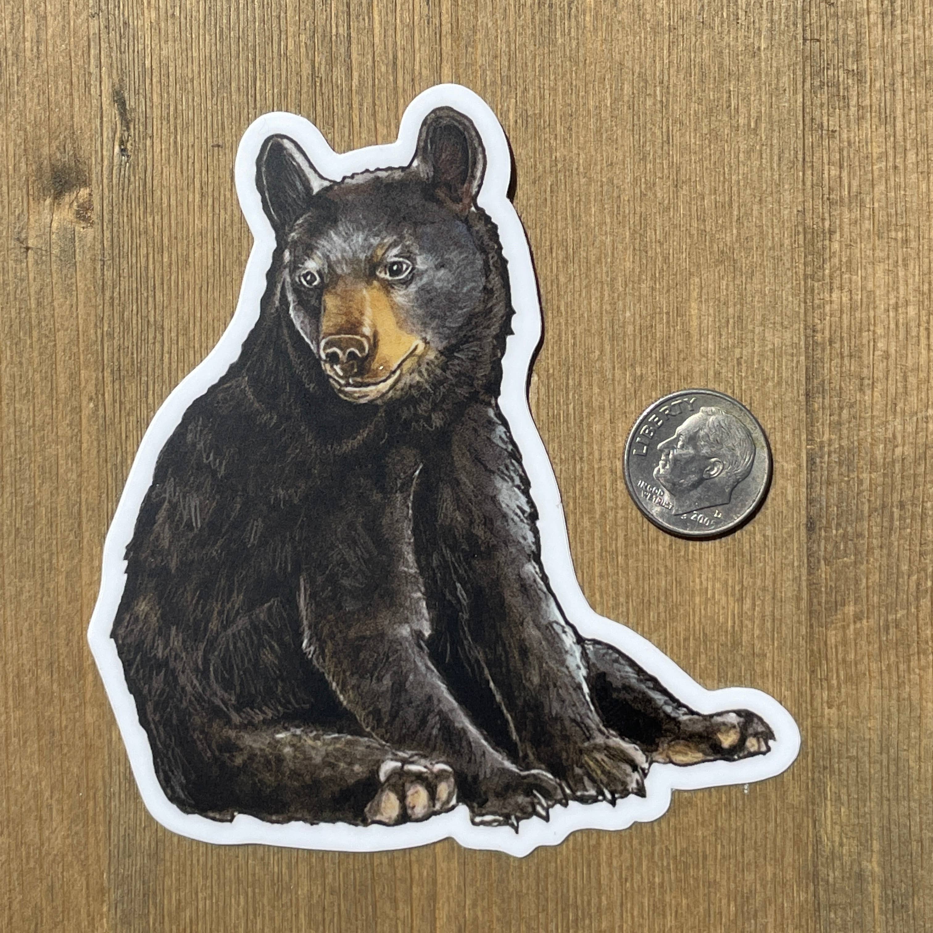 Baby Bear Cub Vinyl STICKER