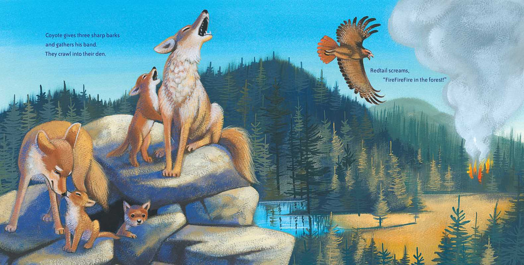Wildfire! by Ashley Wolff