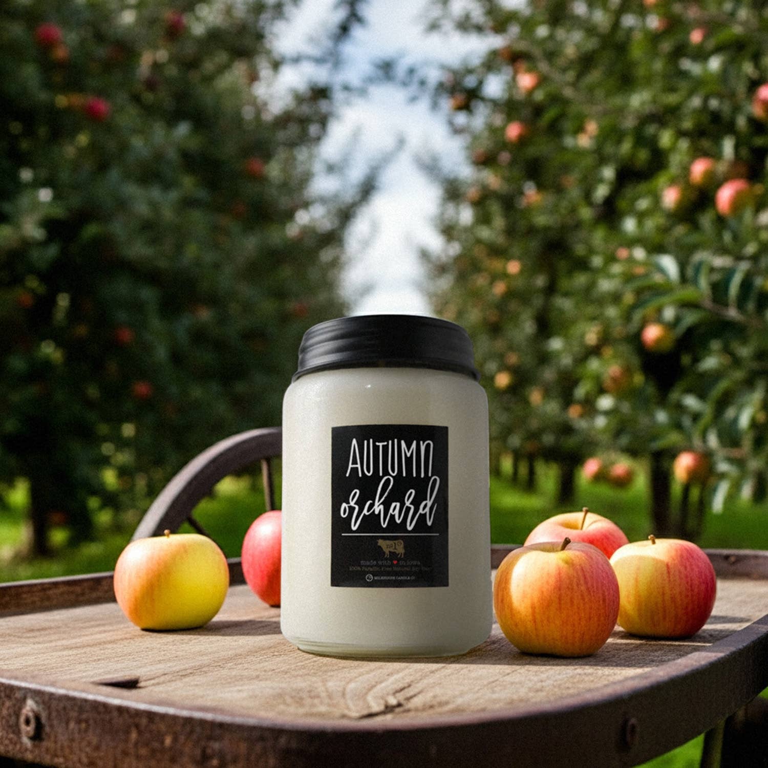26 oz Farmhouse Jar Fall Candle: Autumn Orchard