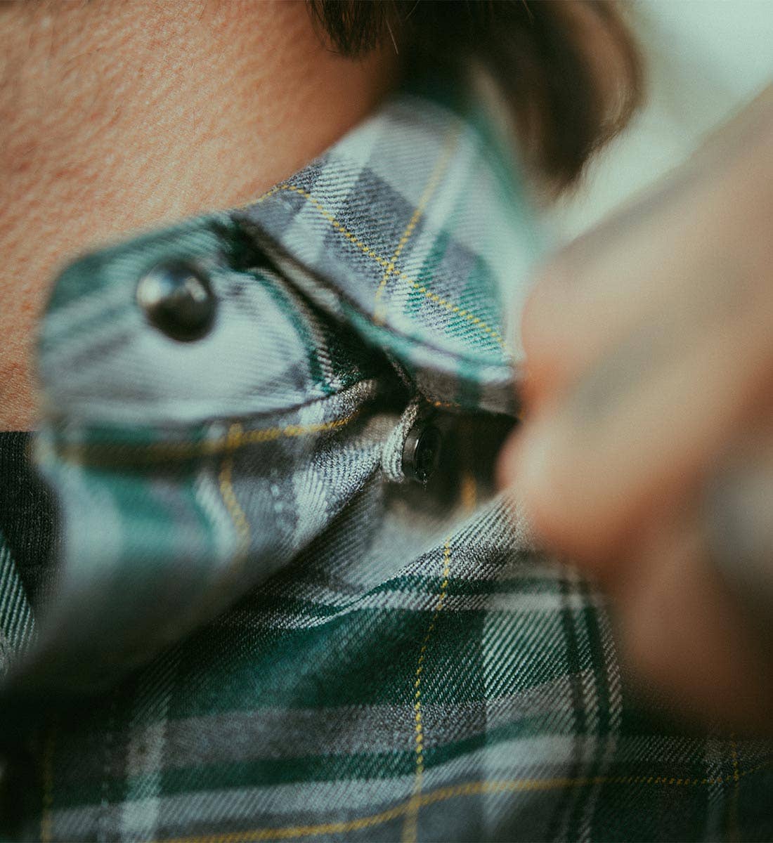 Pinecrest Button Up